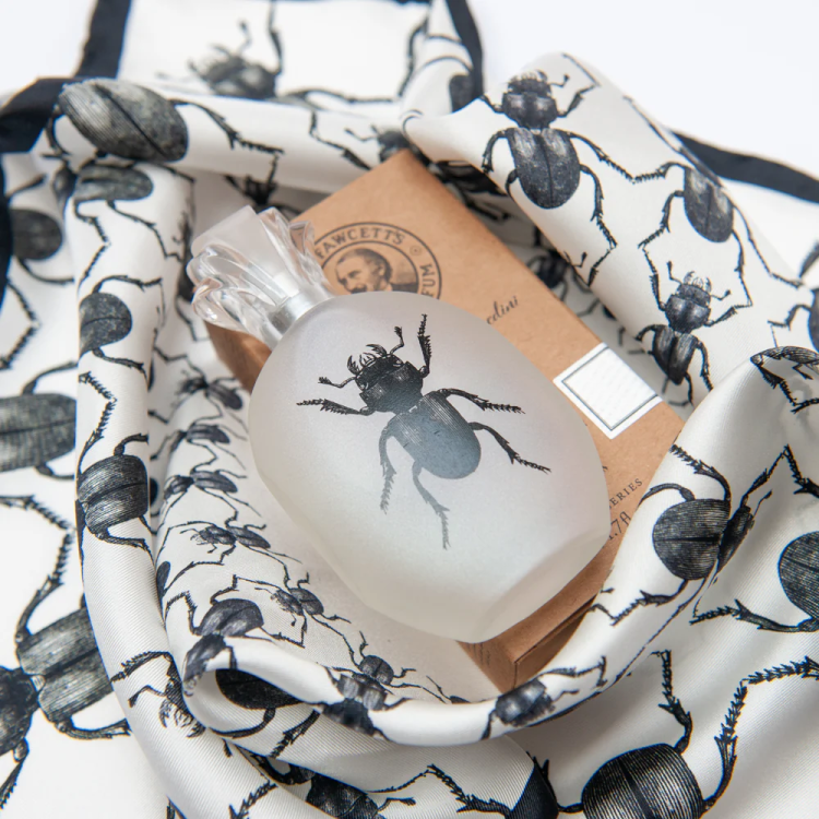 Alessandro Manfredini Eau de Parfum – eleganckie perfumy męskie premium o nowoczesnym charakterze